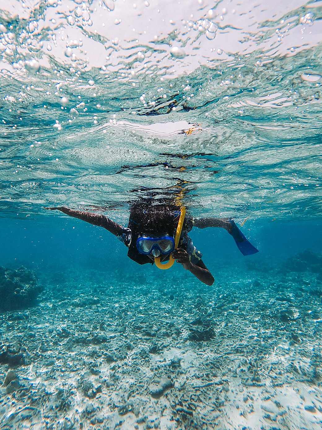 Snorkeling in clear shallow water over a reef