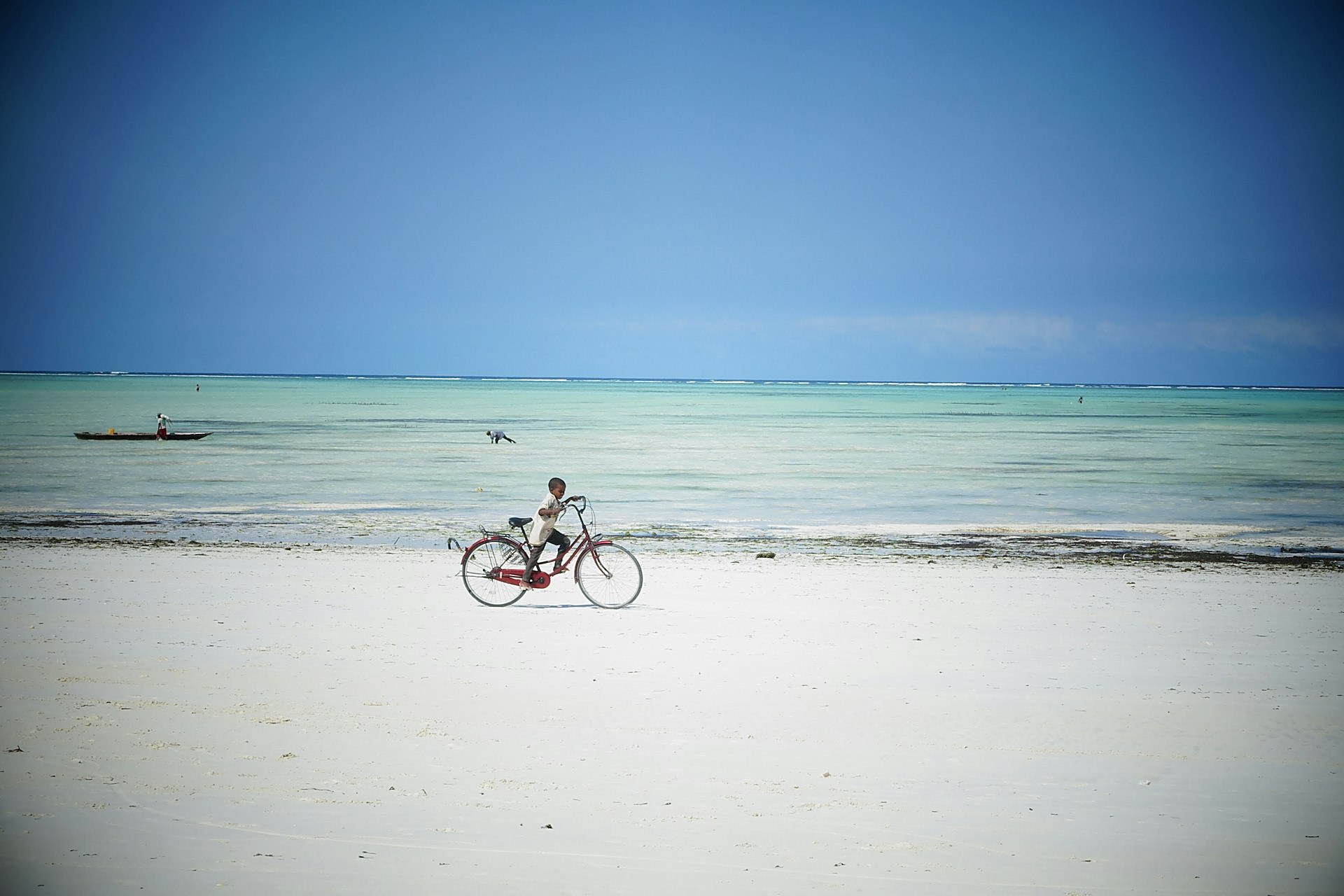 Turquoise sea and palms at Paje, Zanzibar